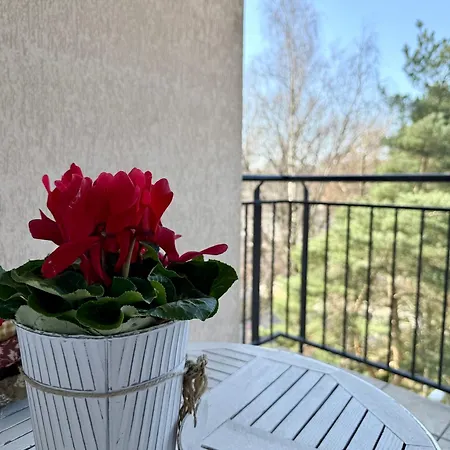 Al-Dom Apartamenty Olymp 302 *