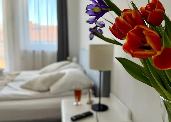 Al-Dom Apartamenty Olymp 302