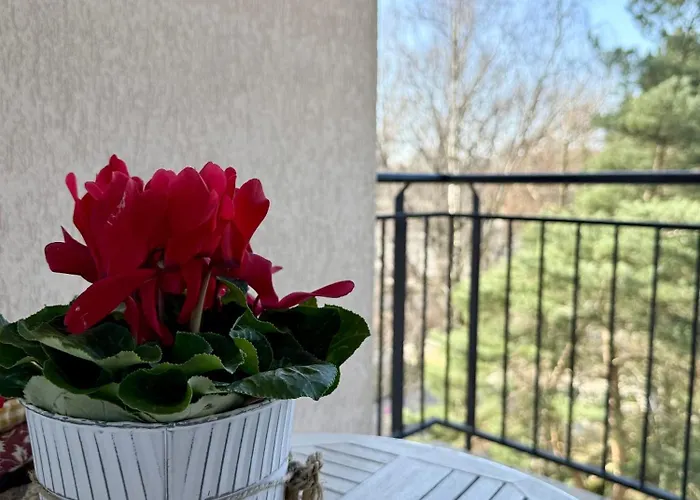 Al-Dom Apartamenty Olymp 302 *